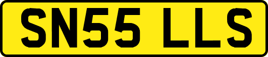SN55LLS