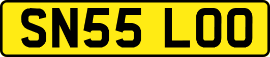 SN55LOO