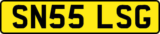 SN55LSG