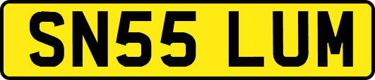 SN55LUM