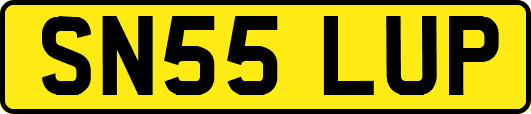 SN55LUP
