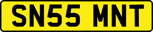 SN55MNT