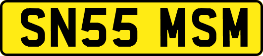 SN55MSM
