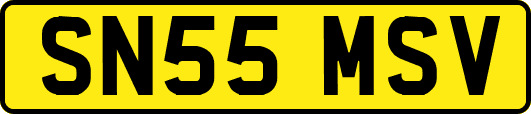 SN55MSV