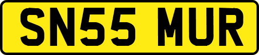 SN55MUR