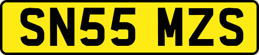 SN55MZS