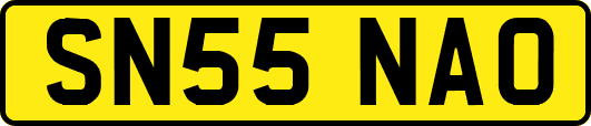 SN55NAO