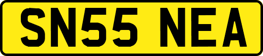 SN55NEA