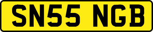 SN55NGB