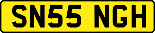 SN55NGH