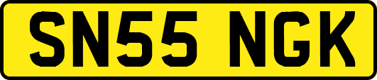 SN55NGK