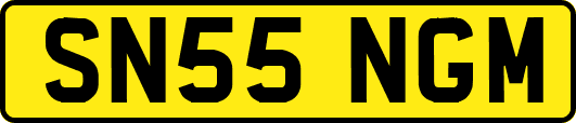 SN55NGM