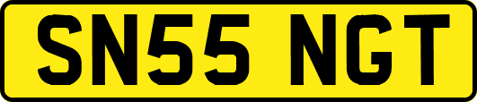 SN55NGT
