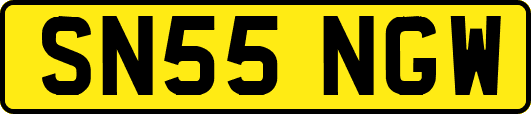 SN55NGW
