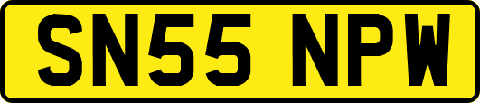 SN55NPW