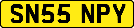 SN55NPY