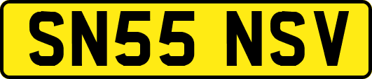 SN55NSV