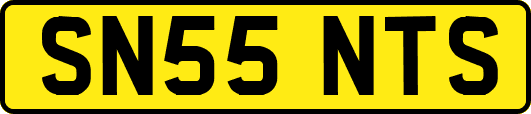 SN55NTS