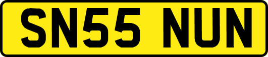 SN55NUN