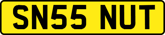 SN55NUT