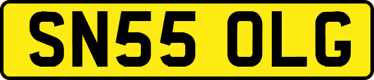 SN55OLG