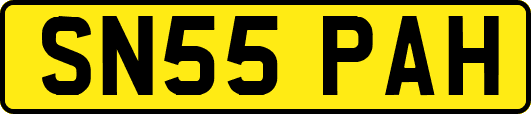 SN55PAH