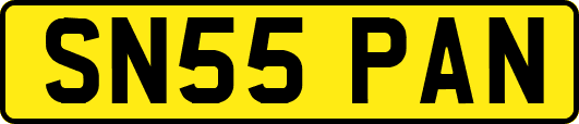 SN55PAN