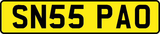SN55PAO