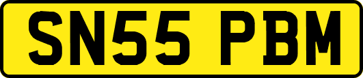 SN55PBM
