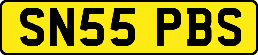 SN55PBS