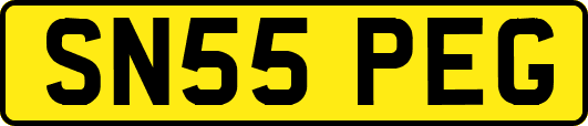 SN55PEG