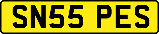 SN55PES