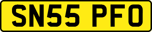 SN55PFO