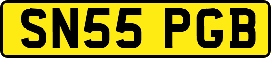 SN55PGB