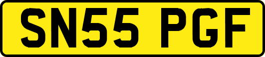 SN55PGF