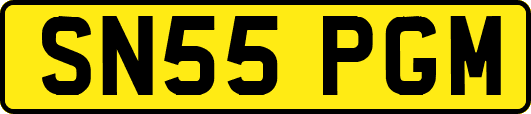 SN55PGM