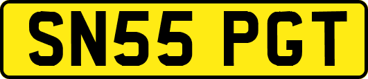 SN55PGT