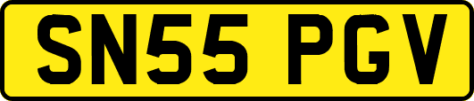 SN55PGV