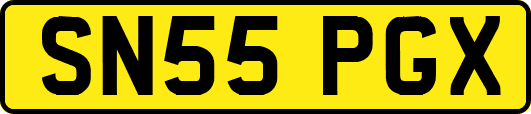 SN55PGX