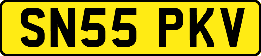 SN55PKV