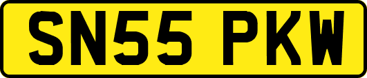 SN55PKW