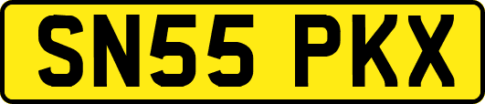 SN55PKX