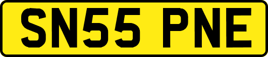 SN55PNE