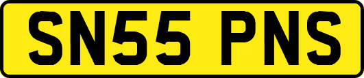 SN55PNS