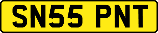 SN55PNT