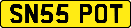 SN55POT