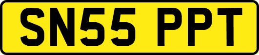 SN55PPT