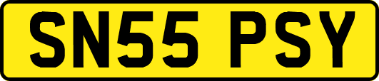 SN55PSY