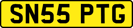 SN55PTG