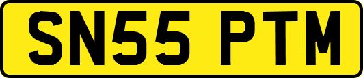 SN55PTM